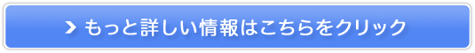 ỉiI{cHy}kJnj[z̔TCg